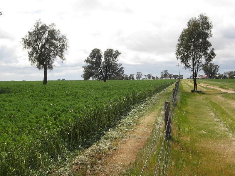 “Monard” Frances Road, Bordertown SA 5268
