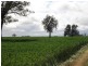 “Monard” Frances Road, Bordertown SA 5268