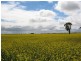“Monard” Frances Road, Bordertown SA 5268