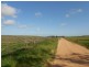 323 Hammat Rd, Lameroo SA 5302
