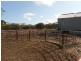 323 Hammat Rd, Lameroo SA 5302