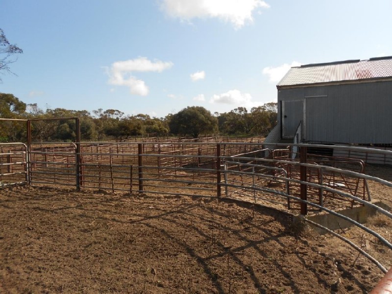 323 Hammat Rd, Lameroo SA 5302