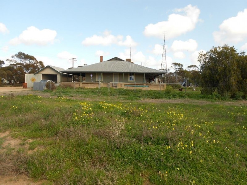 323 Hammat Rd, Lameroo SA 5302