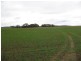 323 Hammat Rd, Lameroo SA 5302