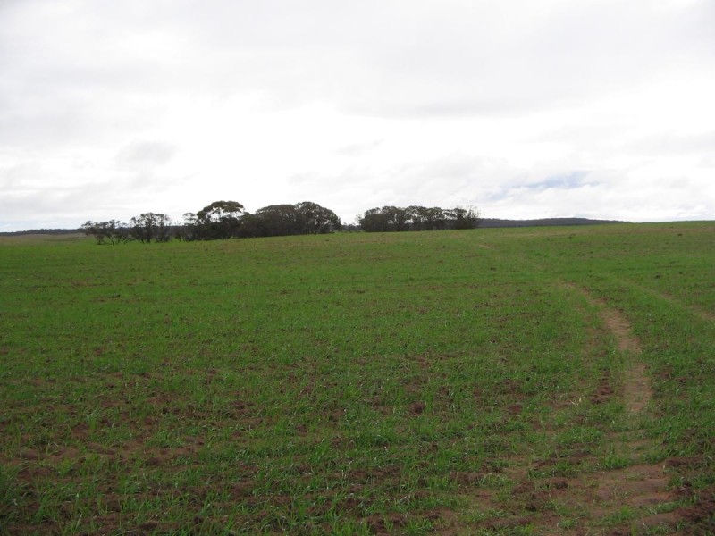 323 Hammat Rd, Lameroo SA 5302