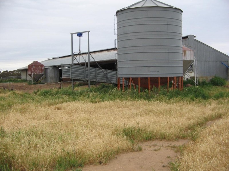 323 Hammat Rd, Lameroo SA 5302