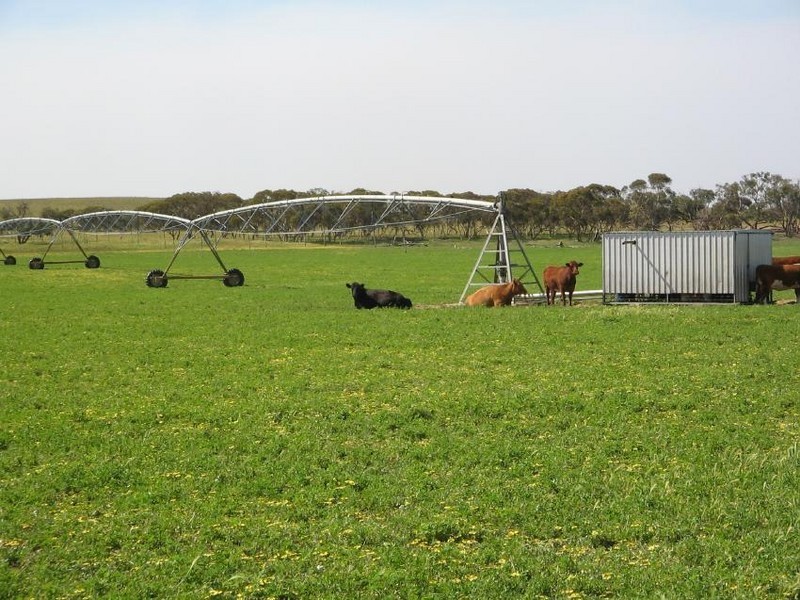 Sec 69 Senior Rd, Bordertown SA 5268