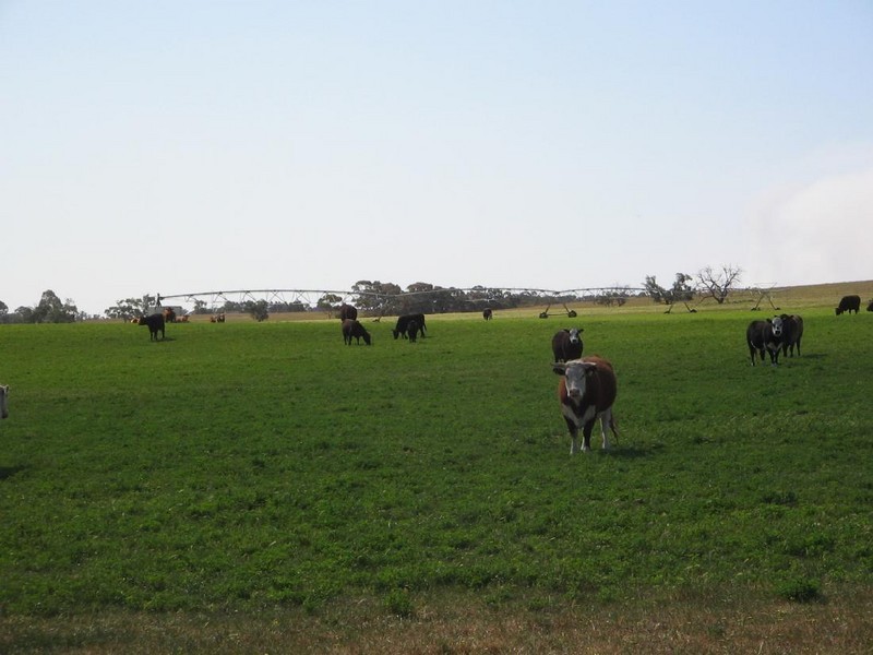 Sec 69 Senior Rd, Bordertown SA 5268