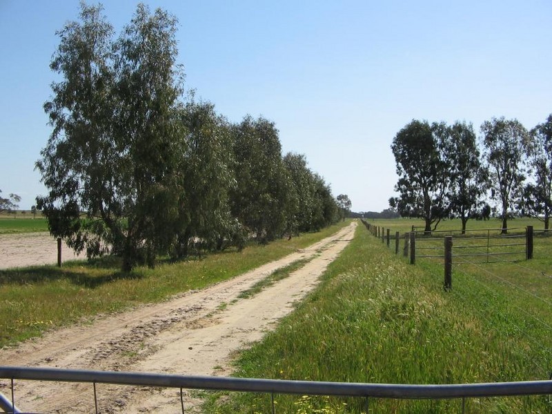 Sec 69 Senior Rd, Bordertown SA 5268