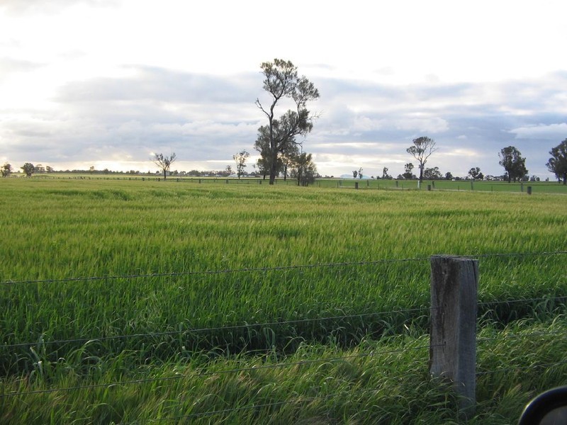 . “Oak Park”, Wolseley SA 5269