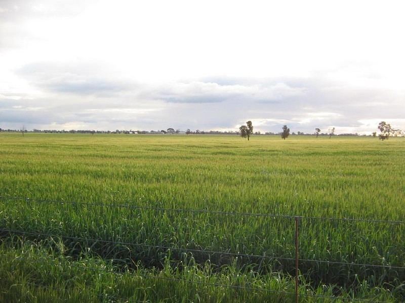 . “Oak Park”, Wolseley SA 5269