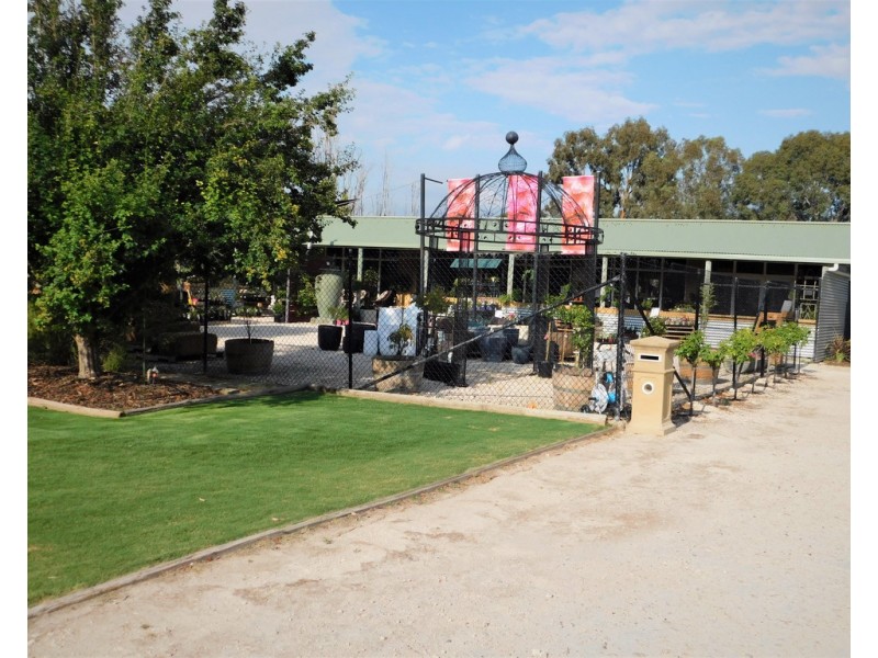 117 Park Terrace, Bordertown SA 5268