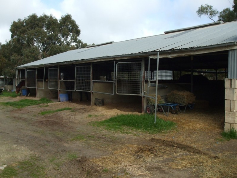 169 OConnell Road, Bordertown SA 5268