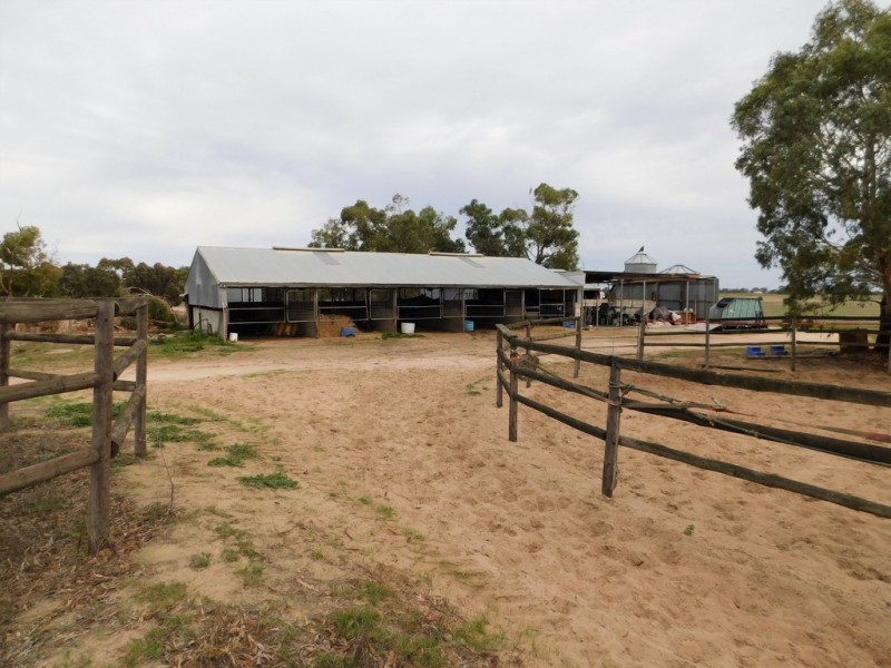 169 OConnell Road, Bordertown SA 5268
