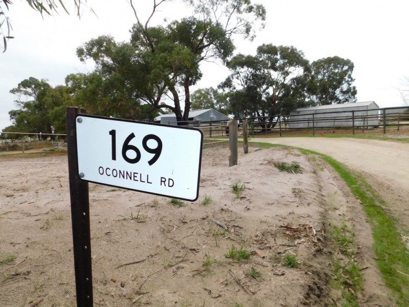 169 OConnell Road, Bordertown SA 5268