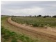 169 OConnell Road, Bordertown SA 5268