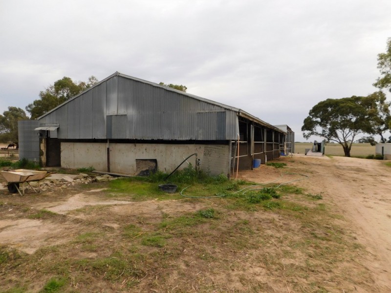 169 OConnell Road, Bordertown SA 5268