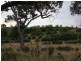 Lot 1002 Naracoorte rd, Western Flat SA 5268