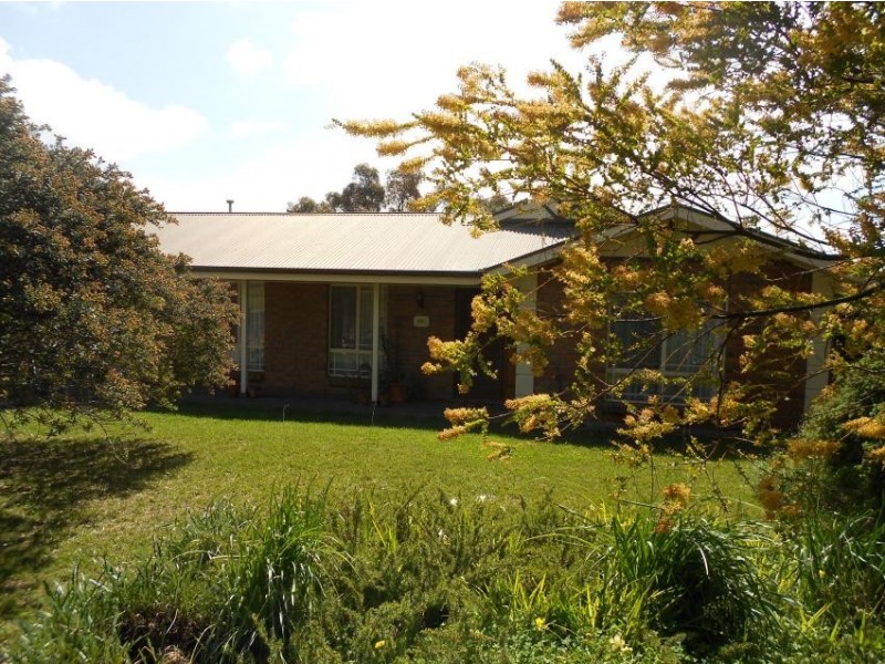 99 South Avenue, Bordertown SA 5268