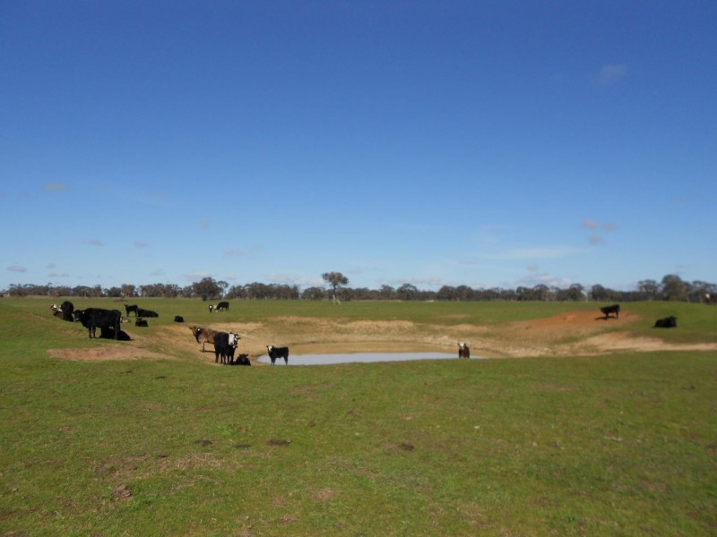 Lot 33 Dunstalls Road, Bangham SA 5268