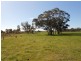 Lot 33 Dunstalls Road, Bangham SA 5268