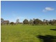 Lot 33 Dunstalls Road, Bangham SA 5268