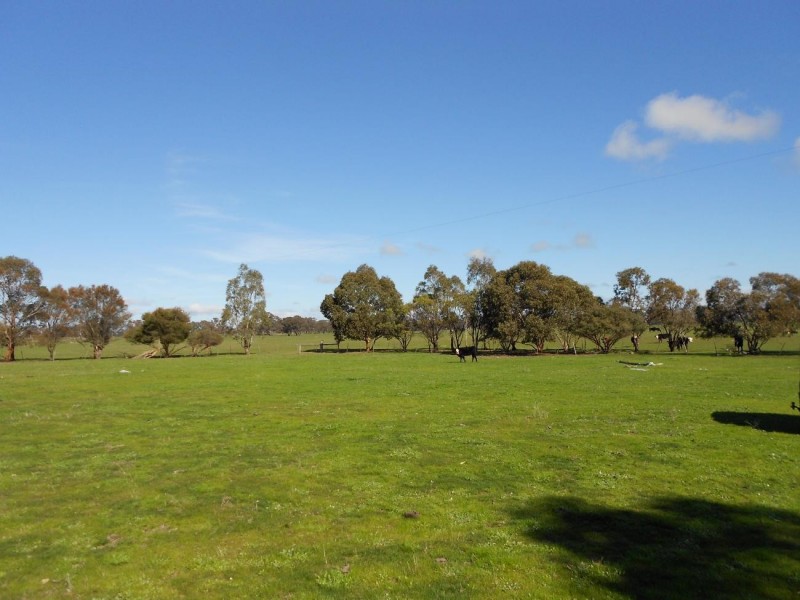 Lot 33 Dunstalls Road, Bangham SA 5268