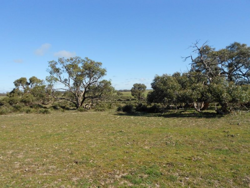 Lot 33 Dunstalls Road, Bangham SA 5268