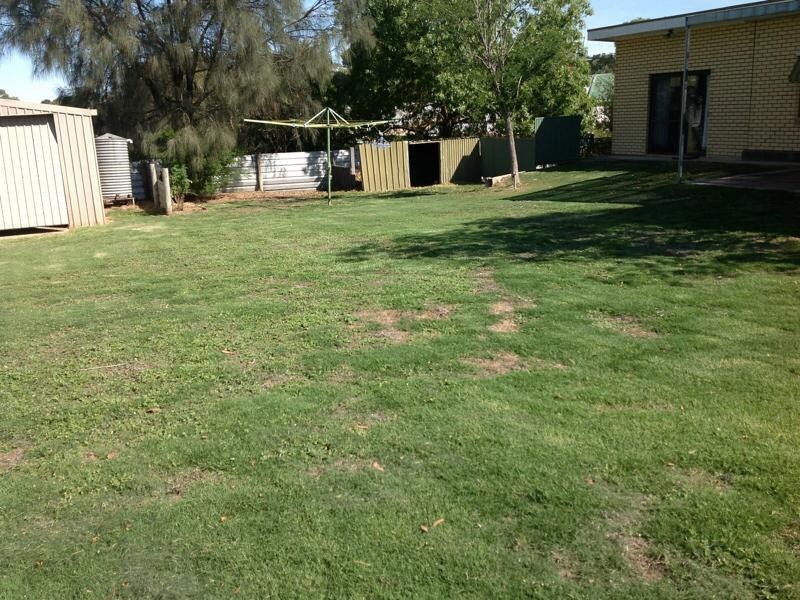 2 Melvyn Street, Bordertown SA 5268