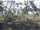 Sec 132 and 49 Burts Road, Western Flat SA 5268