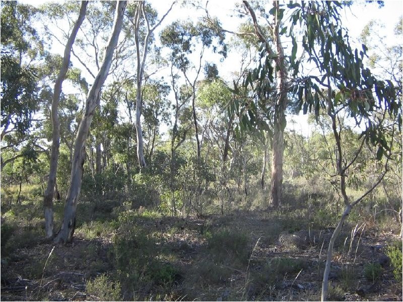 Sec 132 and 49 Burts Road, Western Flat SA 5268