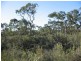 Sec 132 and 49 Burts Road, Western Flat SA 5268