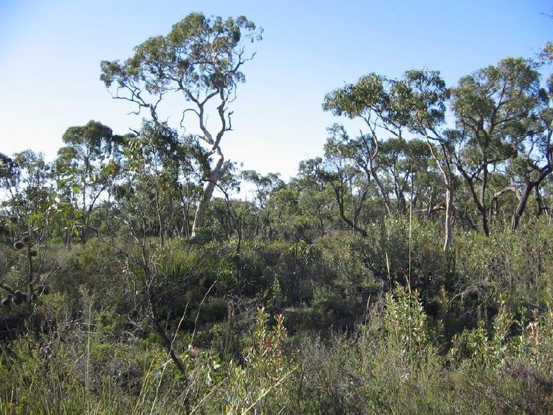 Sec 132 and 49 Burts Road, Western Flat SA 5268