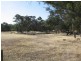 Section 50 Mundulla/Padthaway Rd, Padthaway SA 5271