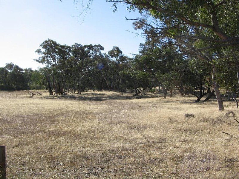 Section 50 Mundulla/Padthaway Rd, Padthaway SA 5271