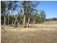 Section 50 Mundulla/Padthaway Rd, Padthaway SA 5271