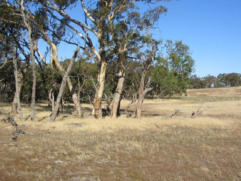 Section 50 Mundulla/Padthaway Rd, Padthaway SA 5271