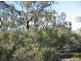 Section 50 Mundulla/Padthaway Rd, Padthaway SA 5271