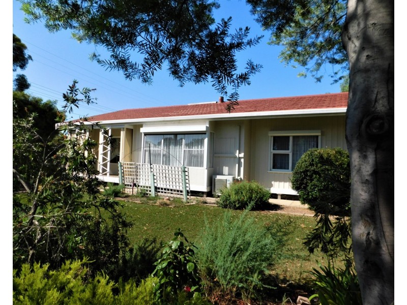 8 Jervois St, Bordertown SA 5268