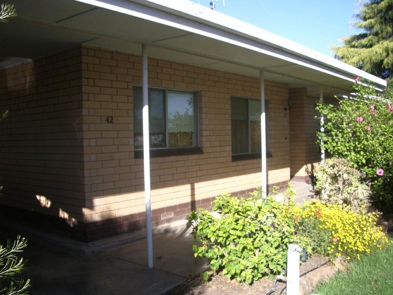 42 Venn Avenue, Bordertown SA 5268