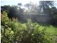 42 Venn Avenue, Bordertown SA 5268