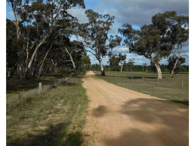 Lot 8 Bangham Road, Bangham SA 5268