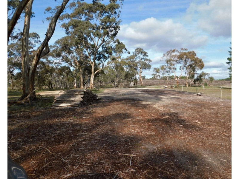 Lot 8 Bangham Road, Bangham SA 5268