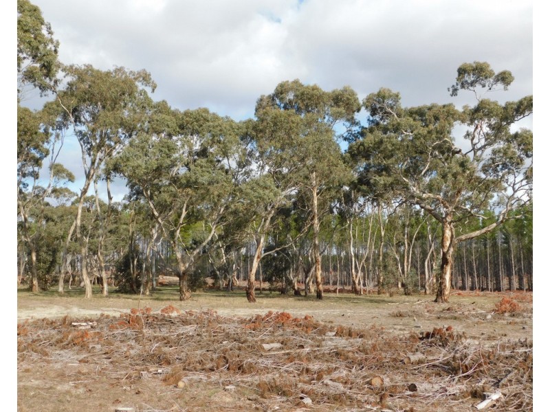 Lot 8 Bangham Road, Bangham SA 5268