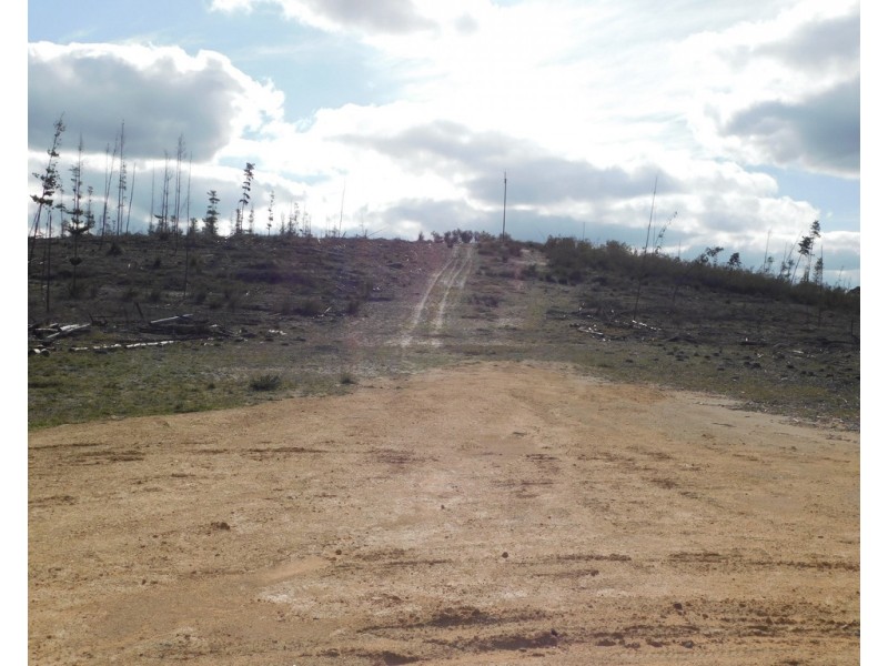 Lot 8 Bangham Road, Bangham SA 5268