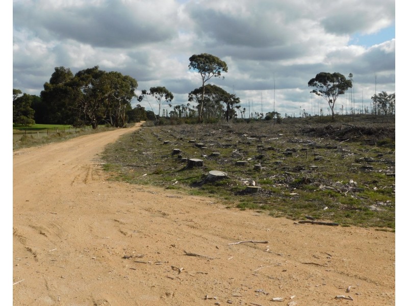 Lot 8 Bangham Road, Bangham SA 5268