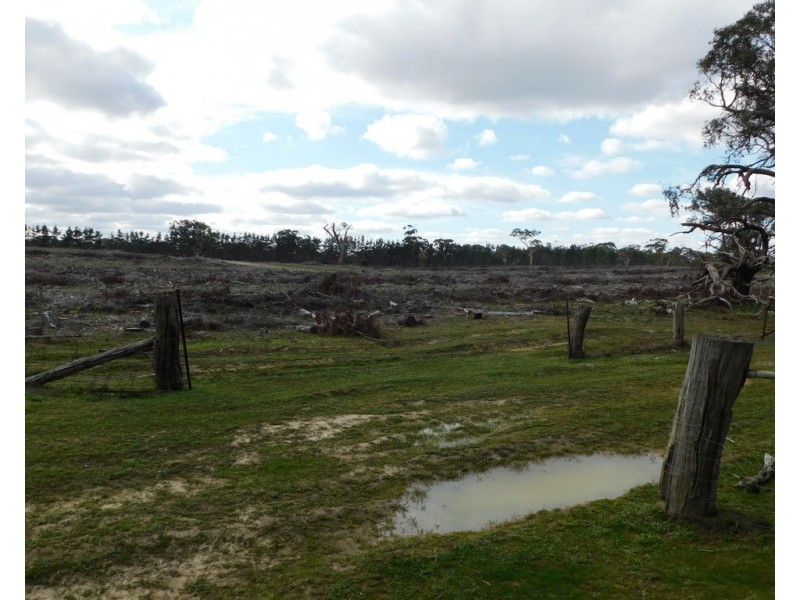 Lot 8 Bangham Road, Bangham SA 5268