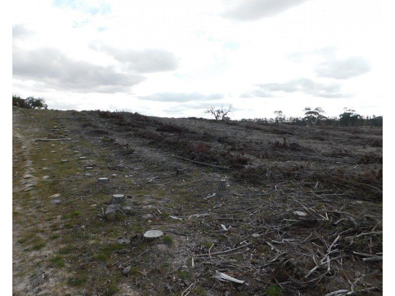 Lot 8 Bangham Road, Bangham SA 5268