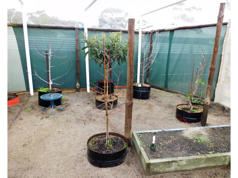 28 Summers Road, Padthaway SA 5271