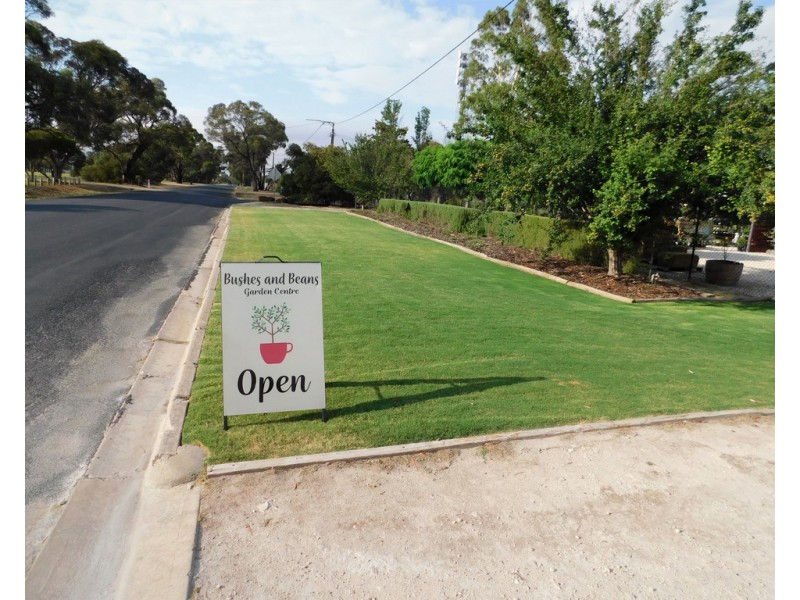 117 Park Terrace, Bordertown SA 5268